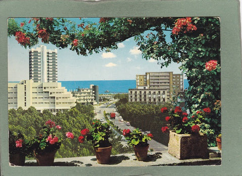 AK Lignano Pineta. Viale delle Palme.