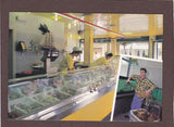AK Lignano Sabbiadoro. Boutique del pesce – Friulpesca. Via Latisana 97/101. Sede: Carlino, Via Marano 107.