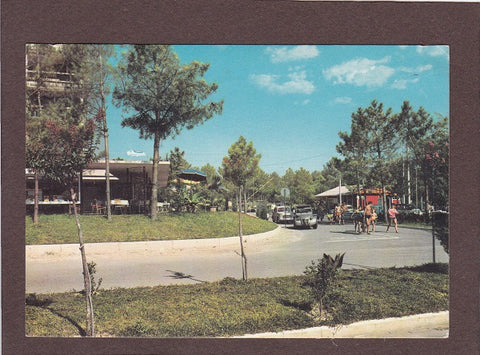 AK Lignano. Ingresso al Camping Pineta.