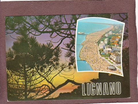 AK Lignano. Notturno in pineta e spiaggia.