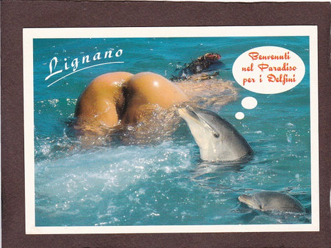 AK Lignano. Benvenuti nel Paradiso per i Delfini.