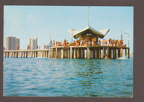 AK Lignano Pineta, Pontile.