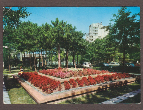 AK Lignano Pineta. Fiori tra i pini.