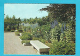 AK Linz. Botanischer Garten. Blühender Rittersporn im Schmuckgarten.