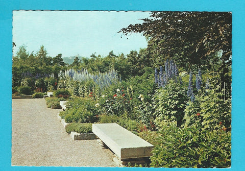 AK Linz. Botanischer Garten. Blühender Rittersporn im Schmuckgarten.