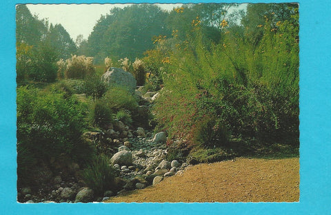 AK Linz. Botanischer Garten. Trockenbachbett (Wadi) mit Konglomeratblock und Chinaschilf.