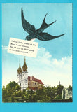 AK Linz an der Donau. Pöstlingberg - Basilika.