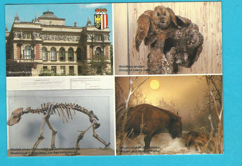 AK Linz. OÖ. Landesmuseum. Francisco Carolinum.