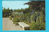 AK Linz. Botanischer Garten. Blühender Rittersporn im Schmuckgarten.