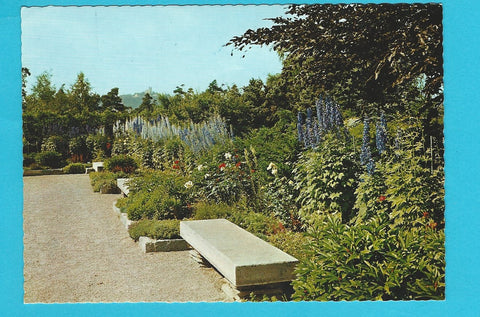 AK Linz. Botanischer Garten. Blühender Rittersporn im Schmuckgarten.