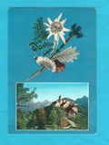 AK Monte Lussari.