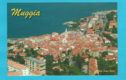 AK Muggia.