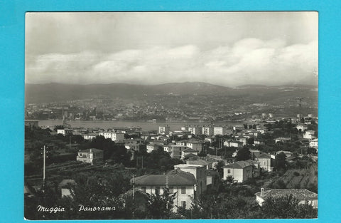 AK Muggia - Panorama.