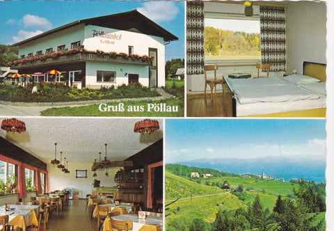 AK Gruß aus Pöllau. Pöllauerhof, E. u. H. Mandl. Neumarkt.