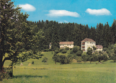 AK Erholungsheim Pichlschloss bei Neumarkt i. Stmk.