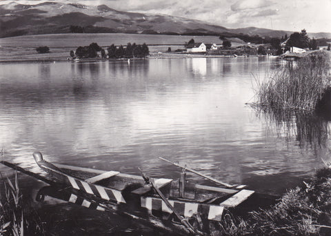 AK Furtnersee bei Neumarkt.