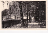 AK Wildbad Einöd, Birkenallee.