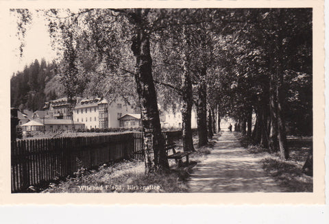 AK Wildbad Einöd, Birkenallee.