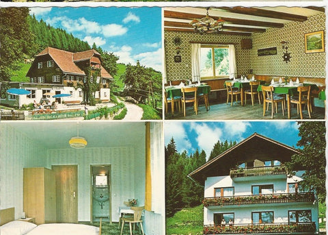 AK St. Peter am Kammersberg. Pension Waldhof, A. u. Ch. Trattner.