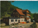AK St. Peter am Kammersberg. Pension Waldhof, F. u. M. Trattner.