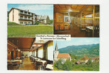 Werbe-AK St. Lorenzen bei Scheifling. Gasthof Pension Messnerhof. Rudolfine Messner.