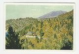AK Turracher Höhe mit Eisenhut, Alpenhotel Zirbenhof.