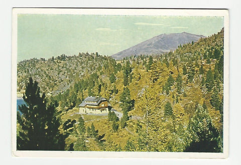 AK Turracher Höhe mit Eisenhut, Alpenhotel Zirbenhof.