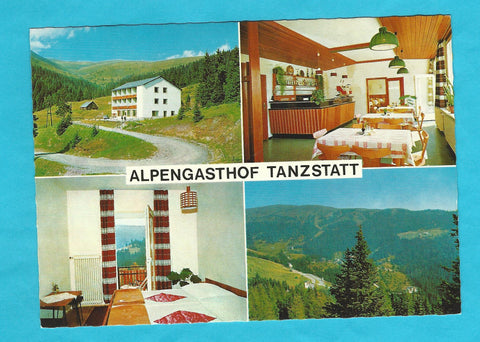 AK Alpengasthof Tanzstatt. B. u. E. Stuhlpfarrer. Lachtal.