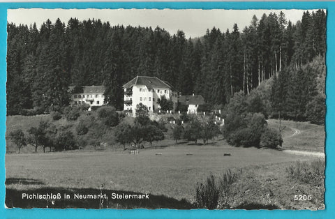 AK Pichlschloss in Neumarkt.