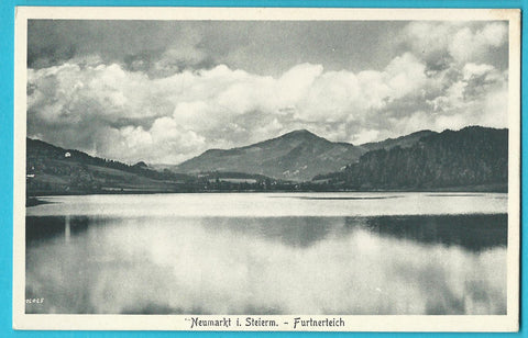 AK Neumarkt - Furtnerteich.