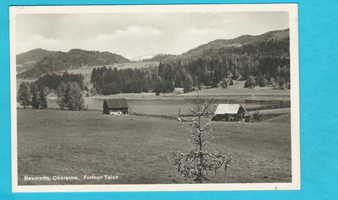 AK Neumarkt. Furtner Teich. (1929)