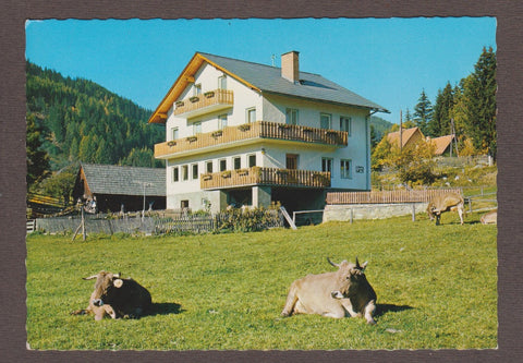 AK Bischoffeld. Gasthof Pension Wachter.