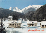 AK Hohentauern. Gasthof Braun im Triebental. Inh. Fam. Leitner.
