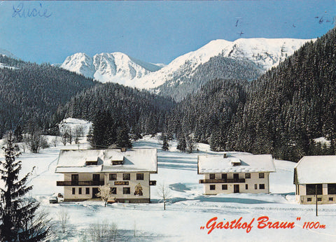 AK Hohentauern. Gasthof Braun im Triebental. Inh. Fam. Leitner.