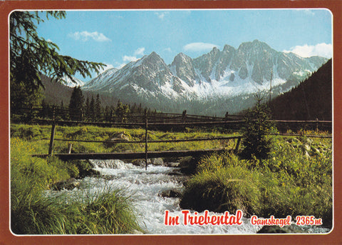 AK Im Triebental. Gamskogel.