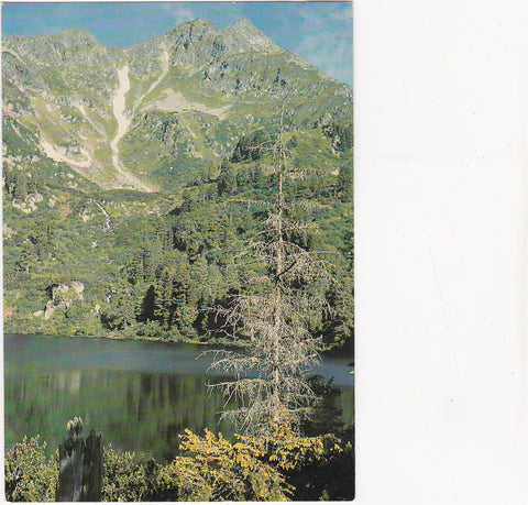 AK Großer Scheibelsee mit Gr. Bösenstein.