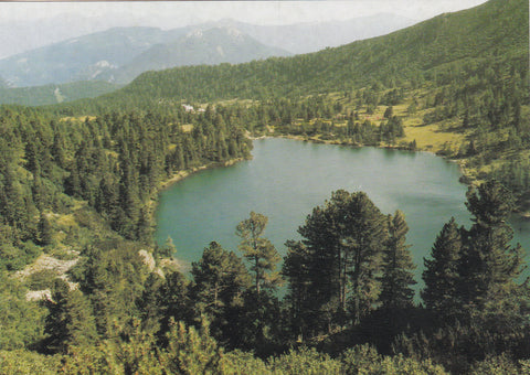 AK Gr. Scheibelsee mit Edelraute-Hütte.