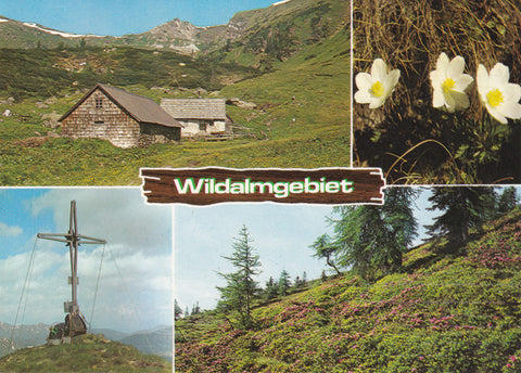 AK Wildalmgebiet. Baustein für die steirische Berg- und Naturwacht. Wildalmhütte. Gipfelkreuz Großhansl.