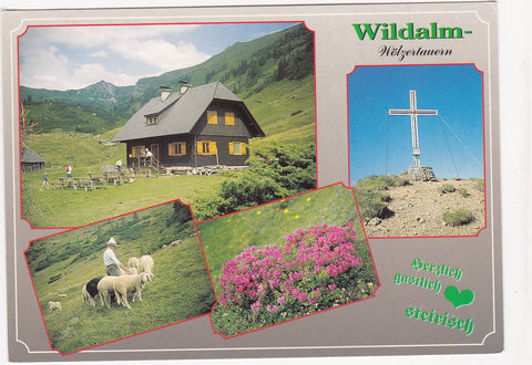 AK Wildalm - Wölzer Tauern. Wildalmhütte. Pusterwald. Scharnitzgraben.