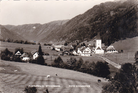 AK Pusterwald.