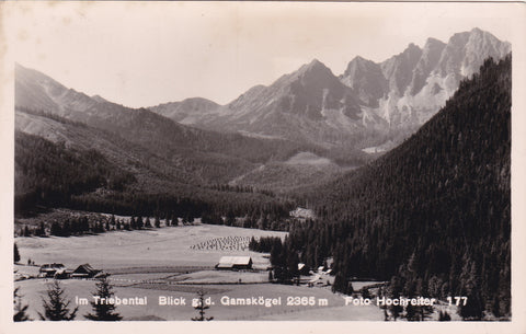 AK Im Triebental. Blick g.d. Gamskögel.