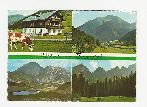 AK Triebental 16. Haus Stocker.