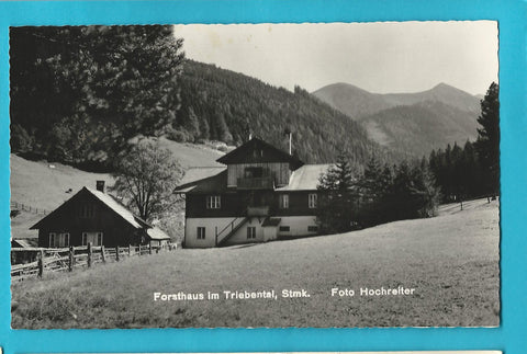 AK Forsthaus im Triebental.
