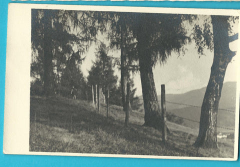 AK Gelaufen in Knittelfeld.