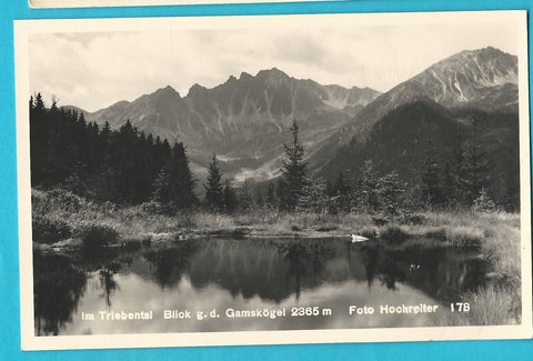 AK Im Triebental Blick g. d. Gamskögel.
