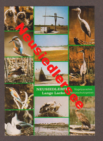 AK Neusiedlersee. Lange Lacke. Vogelparadies.