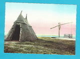 AK Pusztabrunnen u. Hirtenhütte im Seewinkl am Neusiedlersee.