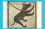 AK Napoli - Museo Nazionale. Mosaico Pompeiano.