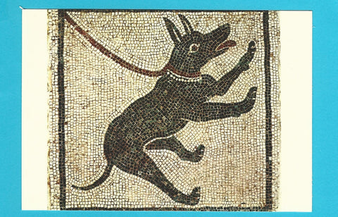 AK Napoli - Museo Nazionale. Mosaico Pompeiano.