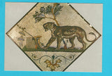 AK Museo Nazionale di Napoli. Pantera - Mosaico Pompei.